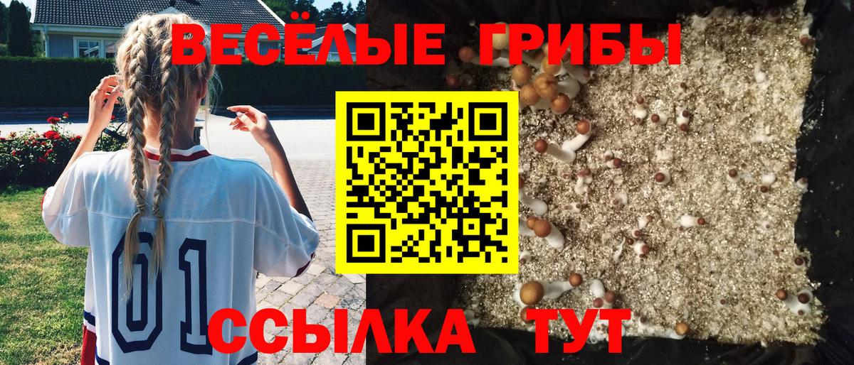 Биробиджан  Галлюциногенные грибы Psilocybine cubensis  Вход с VPN  Галлюциногенные грибы MAGIC MUSHROOMS 