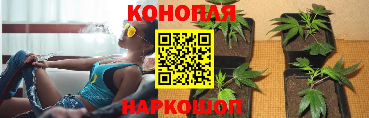 Канабис план Биробиджан